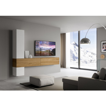 Isoka Compositions - Isoka A113 living room wall composition W.268 H.214 D.39.2