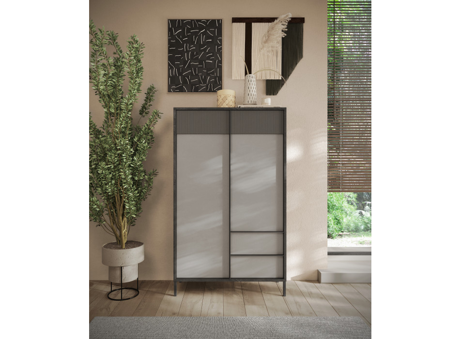 EVEREST - tall cabinet with 2 doors and 2 drawers