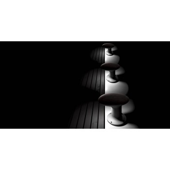 BITTA TORREMATO spotlight