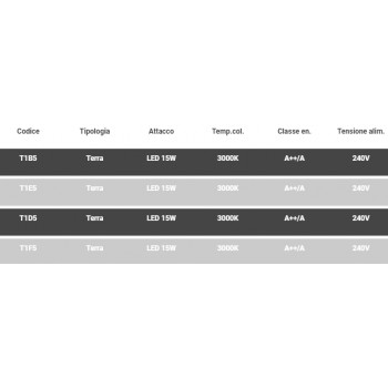 BITTA TORREMATO spotlight