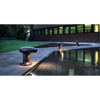 BITTA TORREMATO spotlight