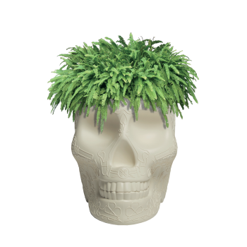 MEXICO PLANTER AND CHAMPAGNE COOLER 70007 QEEBOO