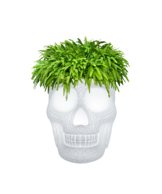 MEXICO PLANTER AND CHAMPAGNE REFRIGERANT LAMP WITH RECHARGEABLE LED 70009LED QEEBOO