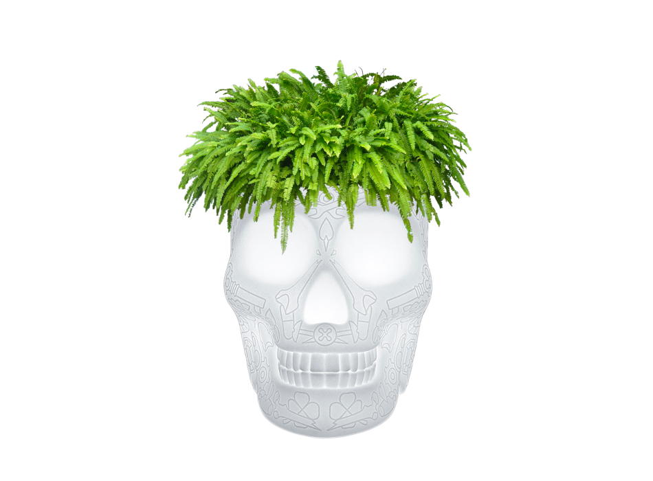 MEXICO PLANTER AND CHAMPAGNE REFRIGERANT LAMP WITH RECHARGEABLE LED 70009LED QEEBOO