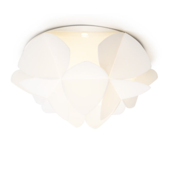 Cottonlight Emporium Wall Lamp