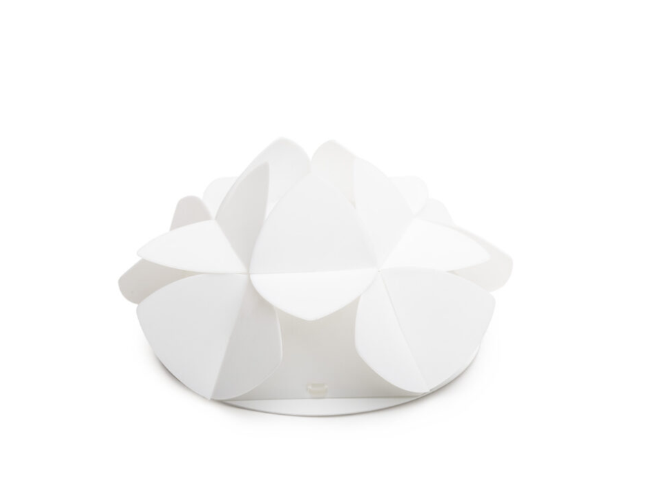 Cottonlight Emporium Wall Lamp