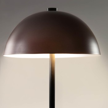 Aleyla table lamp in metal with finish