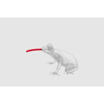 Hungry Frog Lamp QEEBOO