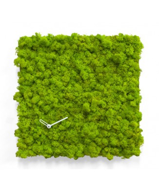 CLOCK CIRCLE MOD.2177 / 2175 PROJECTS