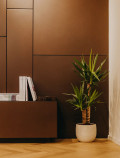 BOISERIE Siderio paneling