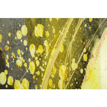 GLASS PANEL W/SUNNY FRAME