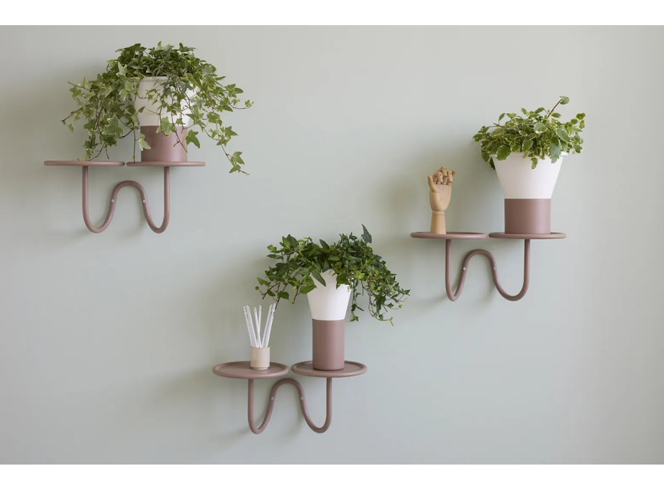 MIMOSA SCAB wall plant holder