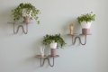 MIMOSA SCAB wall plant holder