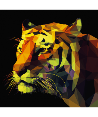 Framework ABSTRACT TIGER G1518 PINTDECOR
