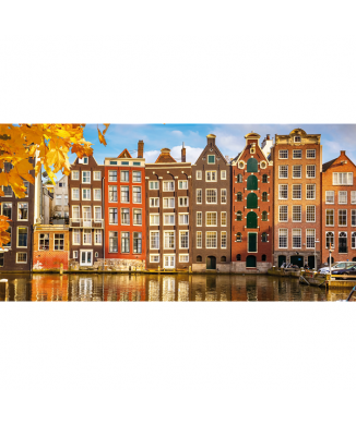 Framework AMSTERDAM G1198 PINTDECOR