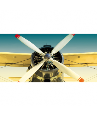 Picture BIPLANE G2898 PINTDECOR