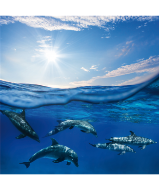 Framework BLUE SEA G3326 PINTDECOR