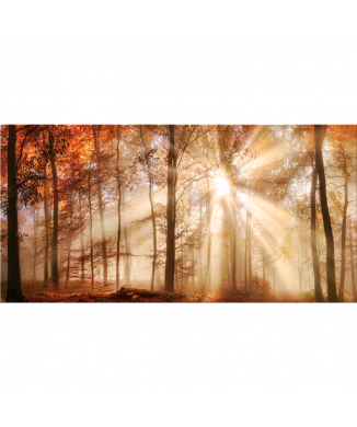 Framework BOSCO G5380 PINTDECOR