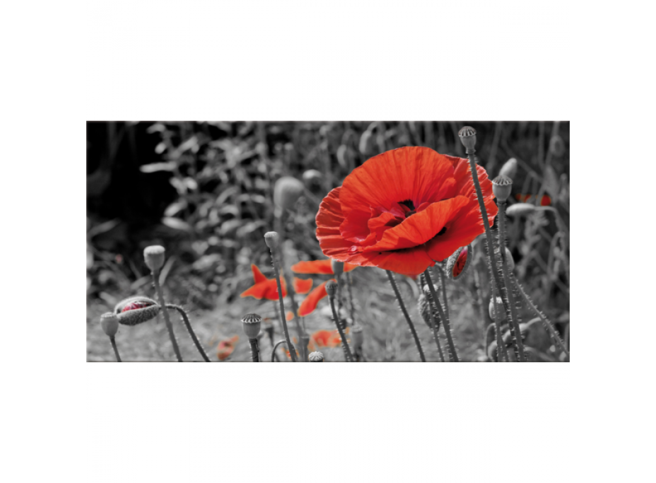 Framework FIELD OF POPPY G2516 PINTDECOR