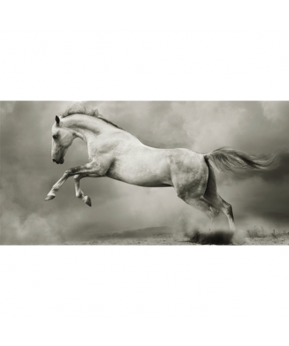 Framework RUNNING HORSE G2008 PINTDECOR