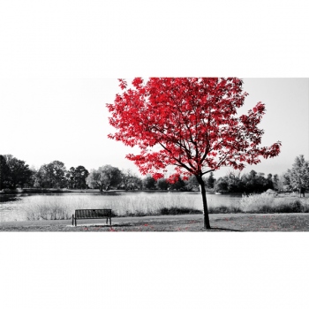 Framework CENTRAL PARK G2524 PINTDECOR