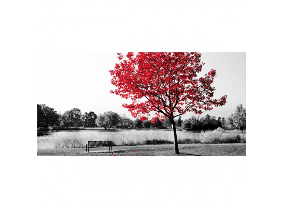 Framework CENTRAL PARK G2524 PINTDECOR