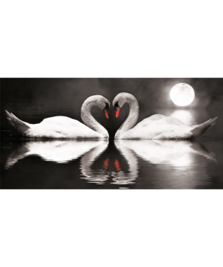 Picture SWANS IN LOVE G2540 PINTDECOR
