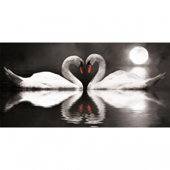 Picture SWANS IN LOVE G2540 PINTDECOR