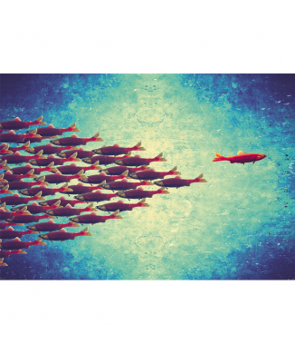 Framework AGAINST CURRENT G3014 PINTDECOR