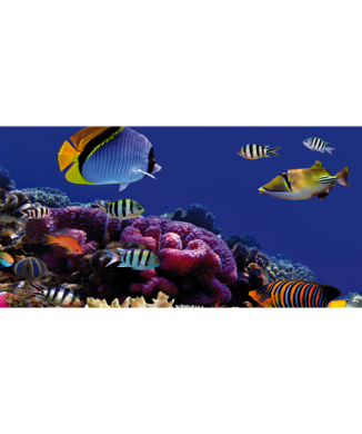 Framework CORALLI G1542 PINTDECOR