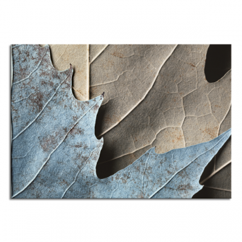 Framework AUTUMN DETAIL G6974 PINTDECOR