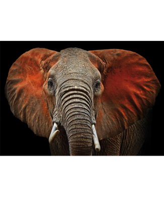 Framework ELEPHANT G3276 PINTDECOR