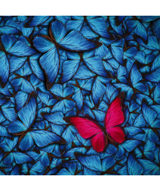 Framework MAGENTA BUTTERFLY G2088 PINTDECOR