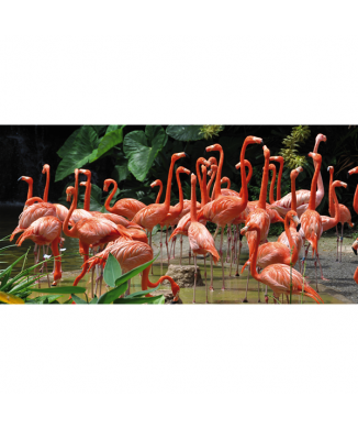 Framework FLAMINGOS G1538 PINTDECOR