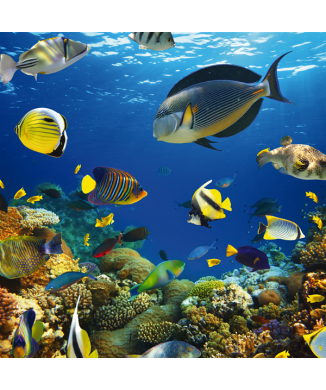 Picture SEABED G2048 PINTDECOR