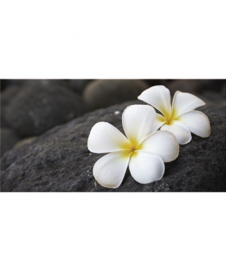 Framework FRANGIPAN G2620 PINTDECOR