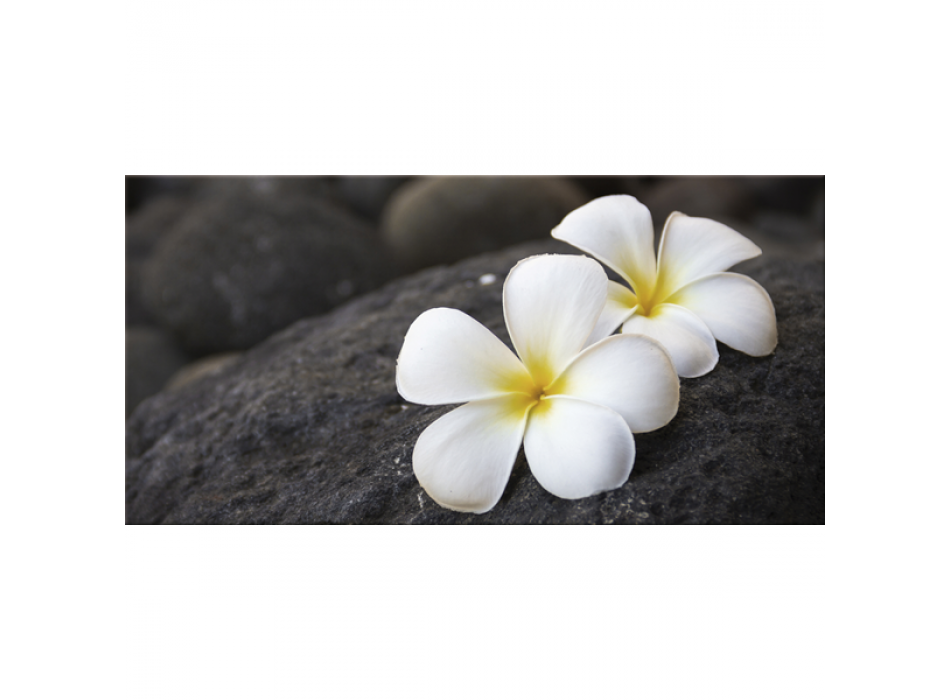 Framework FRANGIPAN G2620 PINTDECOR