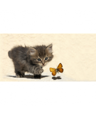 Framework KITTEN AND BUTTERFLY G1588 PINTDECOR