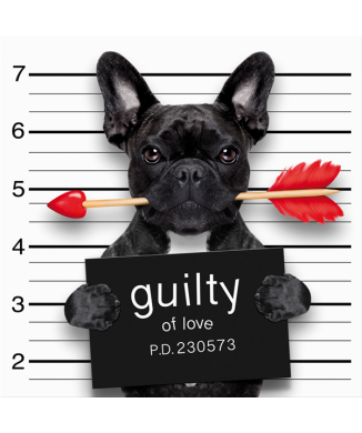 Framework GUILTY G3358 PINTDECOR