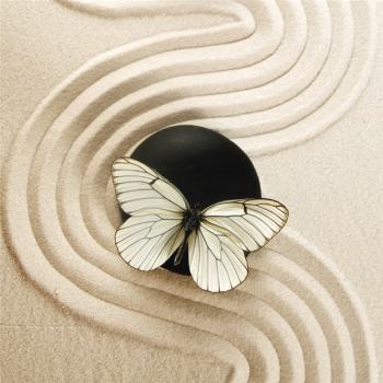Picture THE STONE AND THE BUTTERFLY G2242 PINTDECOR