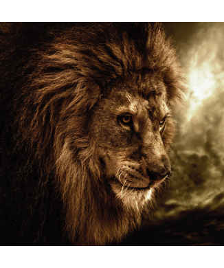 Framework KING G1526 PINTDECOR