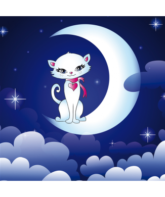 Framework THE CAT IN THE MOON G2348 PINTDECOR