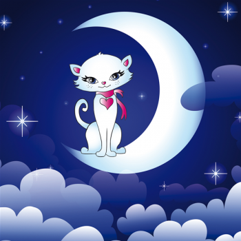 Framework THE CAT IN THE MOON G2348 PINTDECOR
