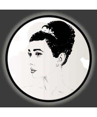 ELEGANT BRIGHT framework GLT6736 PINTDECOR