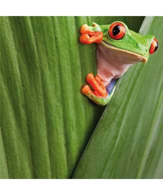 Framework CAMOUFLAGE G3250 PINTDECOR