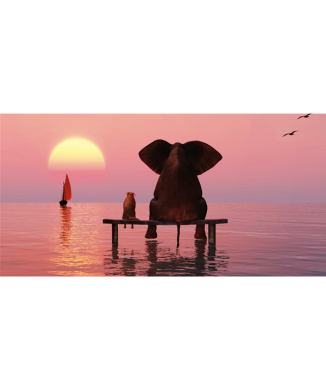 Framework MYSTIC G1574 PINTDECOR