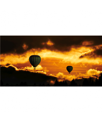 Picture HOT AIR BALLOONS G5416 PINTDECOR