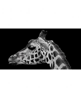 Framework GIRAFFE'S FACE G2012 PINTDECOR