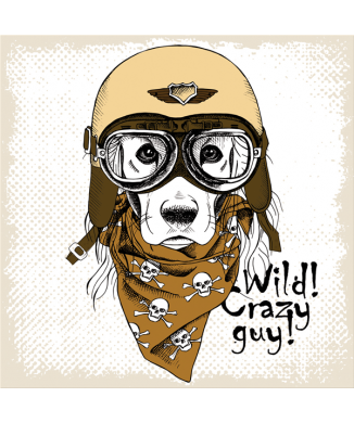 Framework NUVOLARI G3378 PINTDECOR