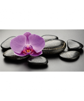 Picture LILAC ORCHID G2264 PINTDECOR